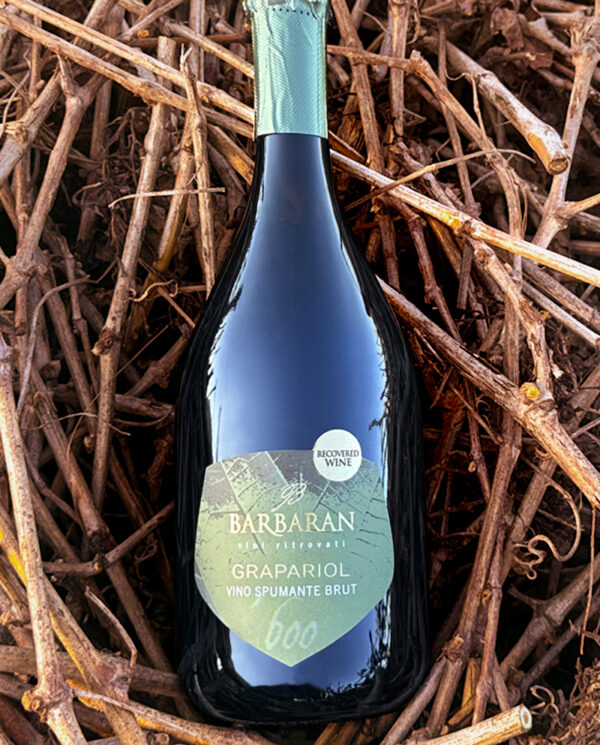 Grapariol sparkling wine brut Barbaran